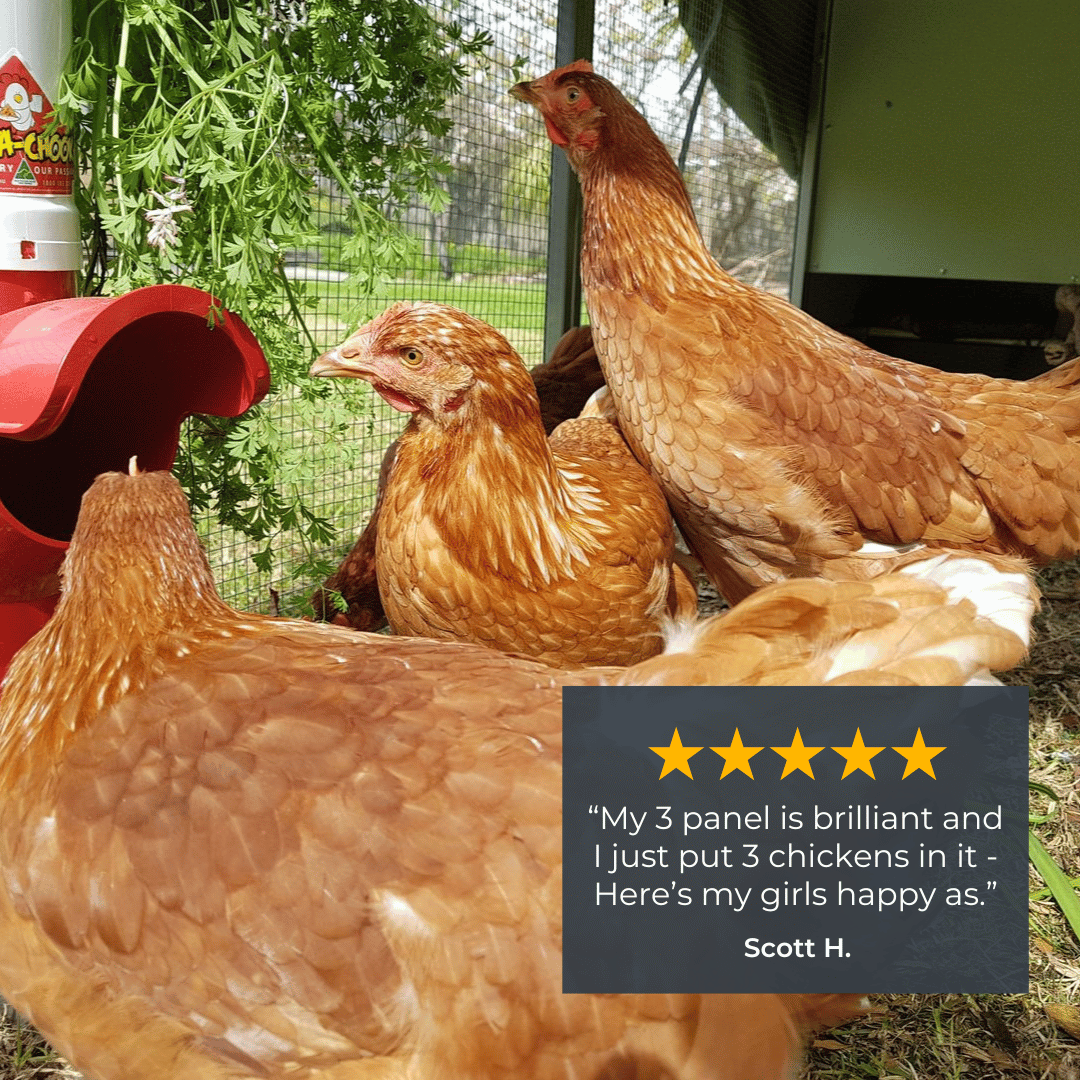 Mobile Chicken Coop / Chicken Tractor