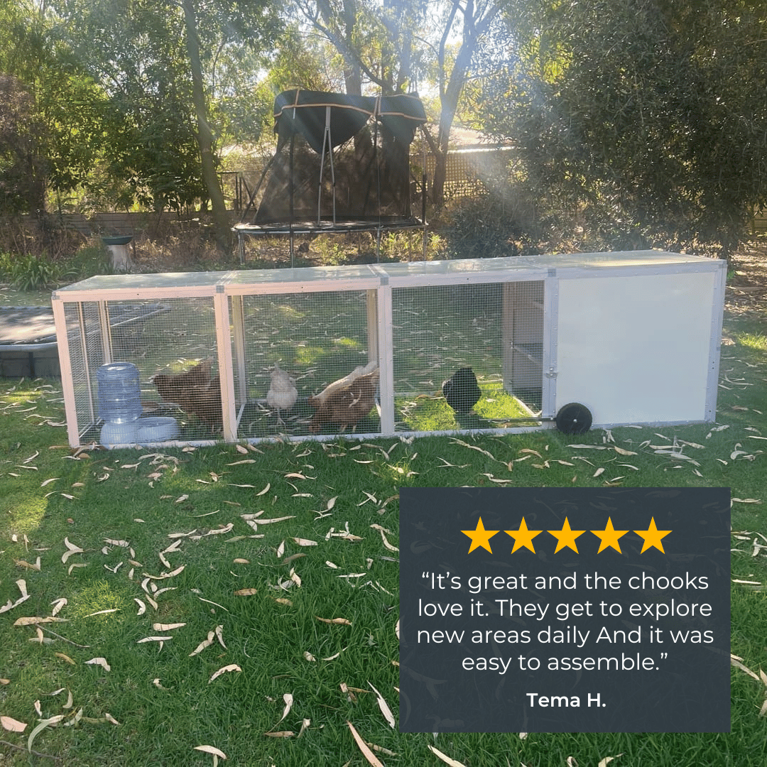 Mobile Chicken Coop / Chicken Tractor